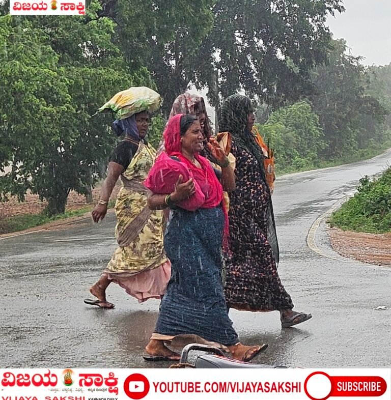 ಮೃಗಶಿರ ಮಳೆಗೆ ರೈತರಲ್ಲಿ ಹೊಸ ಉತ್ಸಾಹ