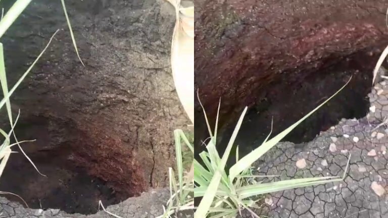 ಕಬ್ಬಿನ ಗದ್ದೆಯಲ್ಲಿ ದಿಢೀರ್ ಭೂಮಿ ಕುಸಿತ: ನಿಂಗಾಪುರದಲ್ಲಿ ಆತಂಕ!