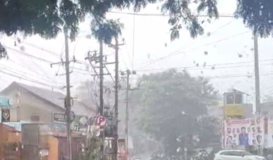 ಧಾರವಾಡದಲ್ಲಿ ಸಾಧಾರಣ ಮಳೆ: ರೈತರ ಮುಖದಲ್ಲಿ ಮಂದಹಾಸ!
