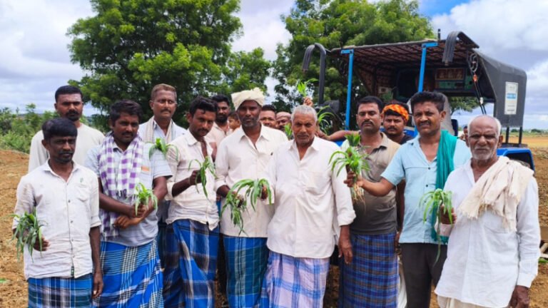 ಕೈ ಕೊಟ್ಟ ವರುಣ: 11 ಎಕರೆಯಲ್ಲಿ ಬಿತ್ತನೆ ಮಾಡಿದ್ದ ಮೆಕ್ಕೆಜೋಳ ನಾಶ ಮಾಡಿದ ರೈತ