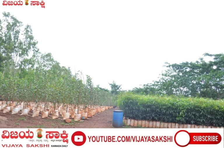 ಗದಗ ಹಸಿರೀಕರಣಕ್ಕೆ 30 ಸಾವಿರ ಸಸಿಗಳ ಸಜ್ಜು