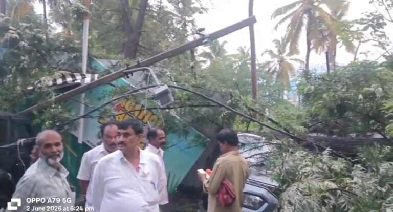 ಮಹದೇವಪುರದಲ್ಲಿ ಮಳೆಯ ಅಬ್ಬರ: ಧರೆಗೆ ಉರುಳಿದ ಬೃಹತ್ ಮರ – ನೆಲಕ್ಕಪ್ಪಳಿಸಿದ ವಿದ್ಯುತ್ ಕಂಬ!