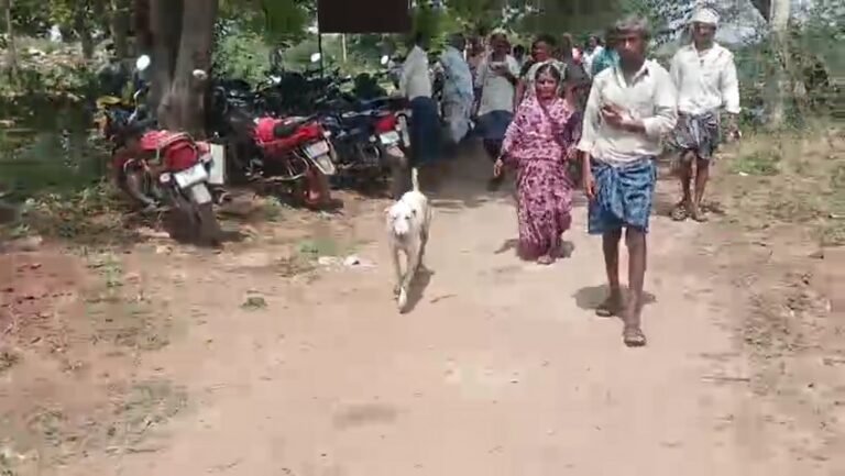 ಪ್ರತಿ ಶವಯಾತ್ರೆಯಲ್ಲಿ ತಪ್ಪದೆ ಕಾಣಿಸುವ ಬಿಳಿ ನಾಯಿ: ಅಚ್ಚರಿಗೊಂಡ ಡಂಬಳ ಗ್ರಾಮಸ್ಥರು! ಏನಿದು ವಿಸ್ಮಯ?