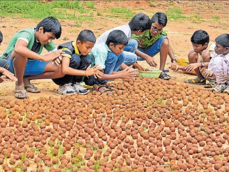 ಉಂಡೆ ಬೀಜಗಳ ಮೂಲಕ ಪ್ರಕೃತಿಯನ್ನು ಹಸಿರಾಗಿಸೋಣ