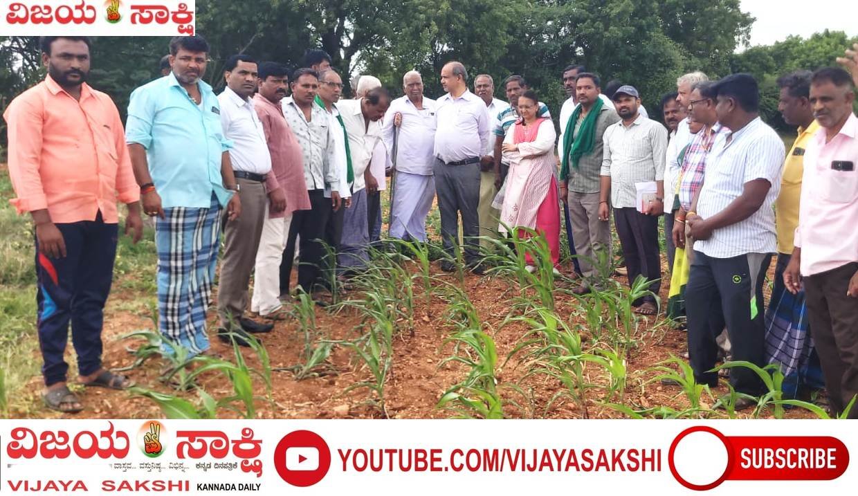 ನರೇಗಲ್ಲದಲ್ಲಿ ಬೆಳೆ ಹಾನಿ ಪರಿಶೀಲಿಸಿದ ಜಿಲ್ಲಾಧಿಕಾರಿ