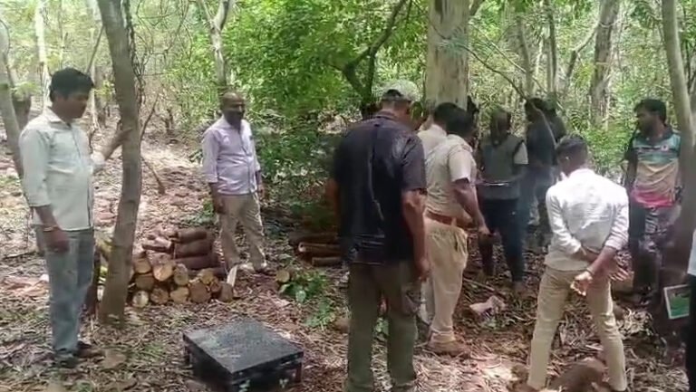 ಶ್ರೀಗಂಧ ಮರಗಳಿಗೆ ಕೊಡಲಿ ಹಾಕಿದ ಕಳ್ಳರು; ಅರಣ್ಯ ಇಲಾಖೆ ಬಲೆಗೆ ಬಿದ್ದ ಗ್ಯಾಂಗ್!