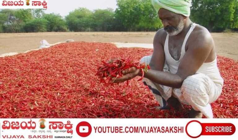 ಬೆಳೆವಿಮೆ ಪರಿಹಾರ ವಿಳಂಬ ಖಂಡನೆ: ರೈತರಿಗೆ ₹28 ಕೋಟಿ ಬಾಕಿ ಬಿಡುಗಡೆಗೆ ಆಗ್ರಹ