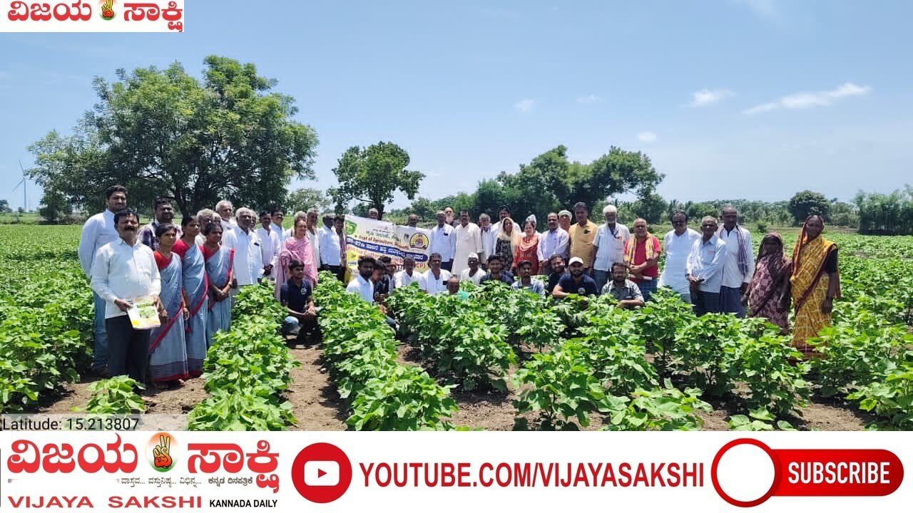 ಹತ್ತಿ ಇಳುವರಿ ಹೆಚ್ಚಿಸಲು ವೈಜ್ಞಾನಿಕ ಕೃಷಿಯೇ ಮಂತ್ರ