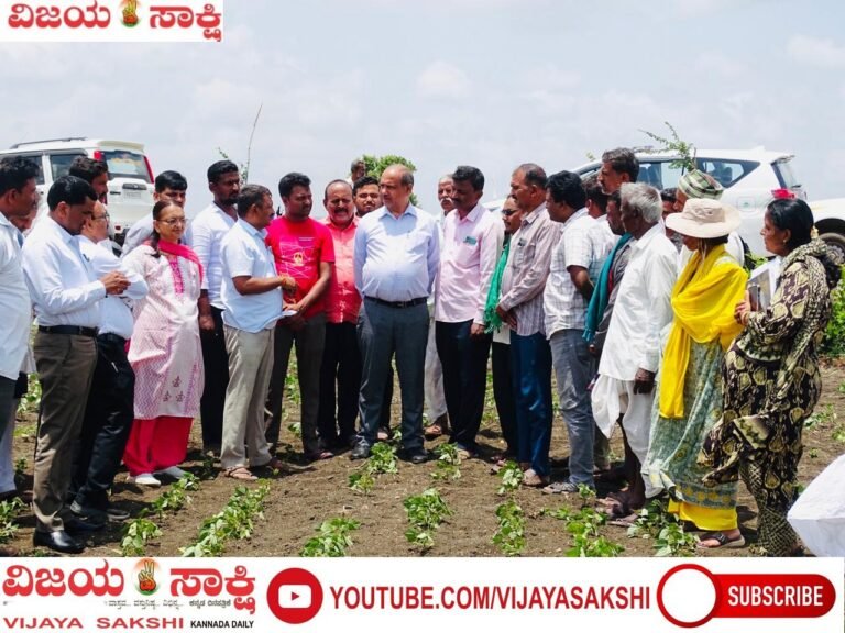 ಒಣಗುತ್ತಿರುವ ಬೆಳೆಗಳ ಪರಿಶೀಲಿಸಿದ ಜಿಲ್ಲಾಧಿಕಾರಿ