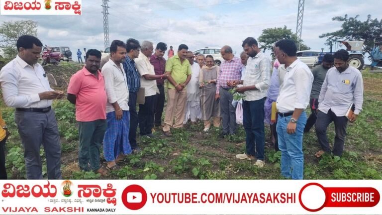 ಒಣಗುತ್ತಿರುವ ಬೆಳೆಗಳ ಪರಿಶೀಲನೆ ನಡೆಸಿದ ಜಿಲ್ಲಾಧಿಕಾರಿ
