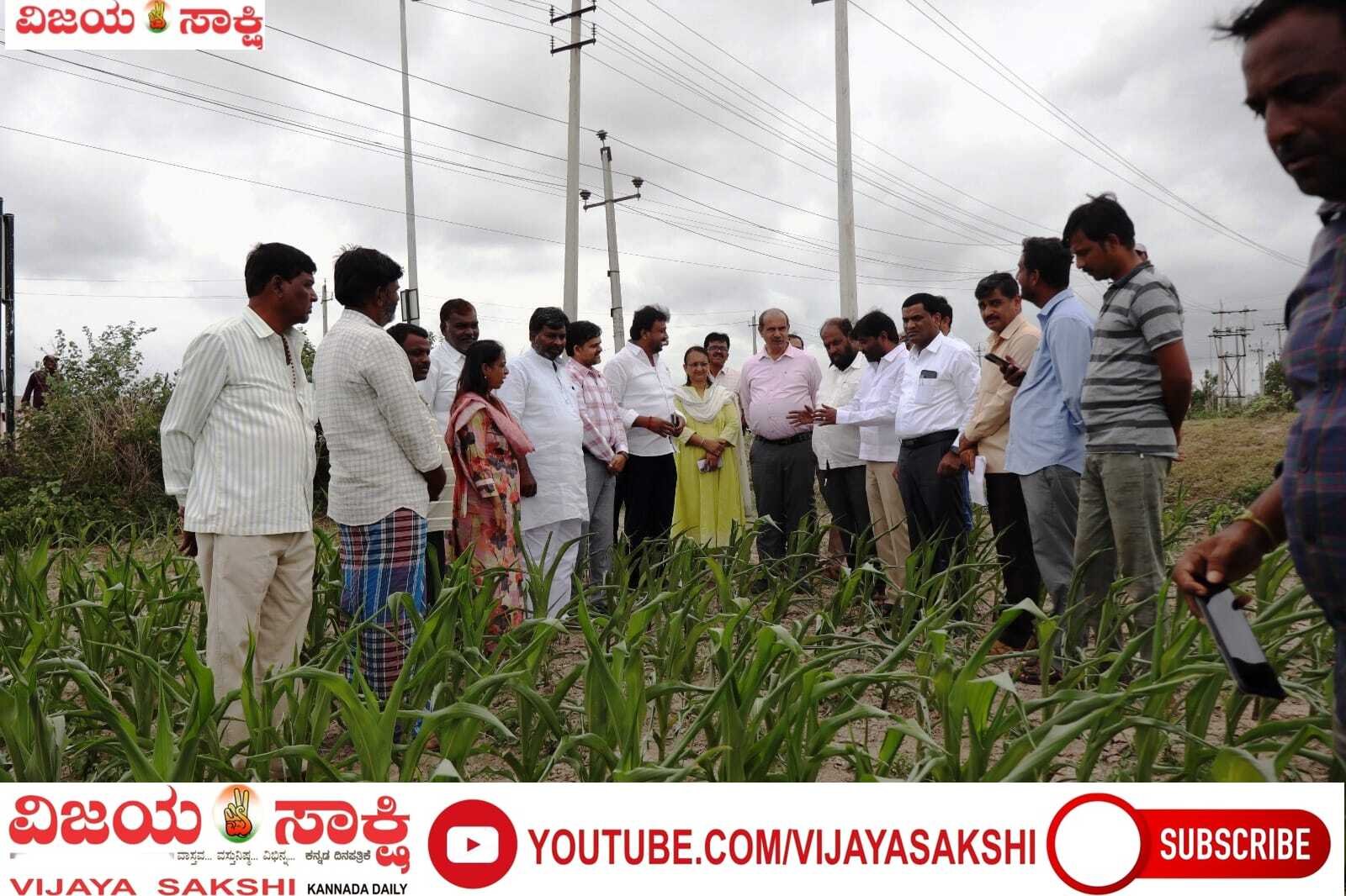 ಬೆಳೆ ವೀಕ್ಷಿಸಿ ರೈತರೊಂದಿಗೆ ಸಂವಾದ ನಡೆಸಿದ ಡಿಸಿ