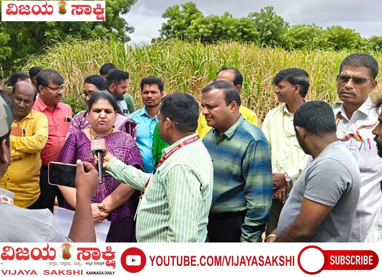 ಹೊಲಕ್ಕೆ ಭೇಟಿ ನೀಡಿ ರೈತರ ಅಹವಾಲು ಆಲಿಸಿದ ಡಿಸಿ