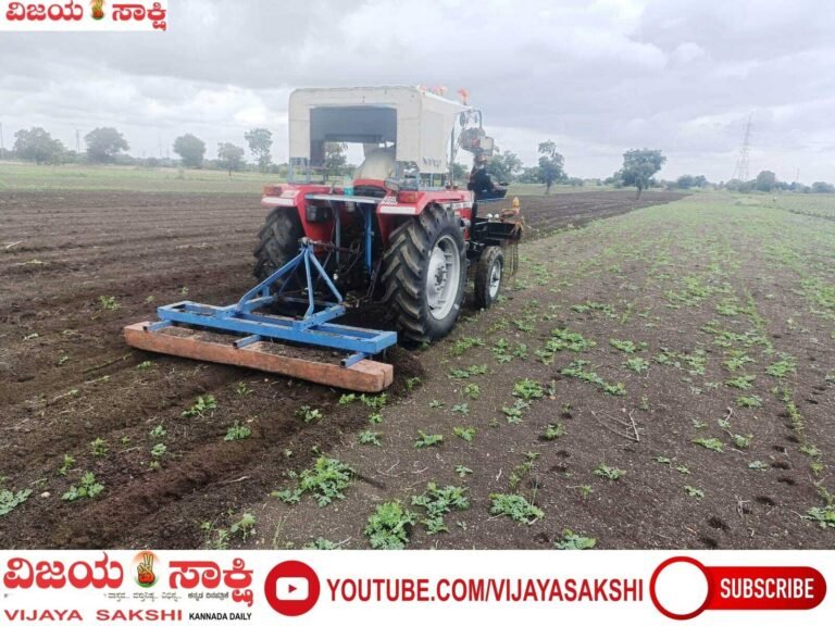 ಕೈಕೊಟ್ಟ ಮಳೆ: ಬೆಳೆ ಹರಗಿದ ರೈತ