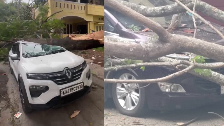 ರಾಜರಾಜೇಶ್ವರಿ ನಗರದಲ್ಲಿ ಮರದ ಕೊಂಬೆ ಬಿದ್ದು ಅವಘಡ: 2 ಕಾರು, 1 ಬೈಕ್ ಜಖಂ!