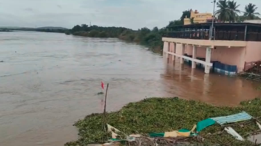 ತುಂಗಾಭದ್ರೆಯಲ್ಲಿ ನೀರಿನ ಮಟ್ಟ ಏರಿಕೆ: ಉಕ್ಕಡಗಾತ್ರಿ ಶ್ರೀಕ್ಷೇತ್ರದಲ್ಲಿ ಪ್ರವಾಹದ ಆತಂಕ