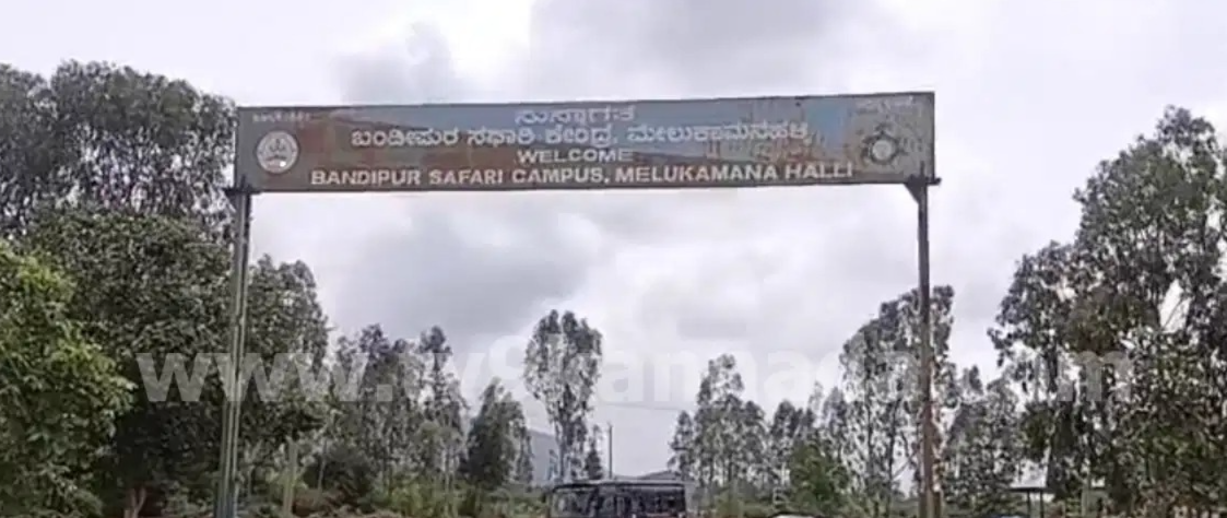 ಬಂಡೀಪುರ ಸಫಾರಿ ದುಬಾರಿ..! ಸೆಪ್ಟೆಂಬರ್ 1ರಿಂದ ಹೊಸ ದರ ಜಾರಿ, ಜೀಪ್ ಸಫಾರಿ ಶುಲ್ಕ ಡಬಲ್