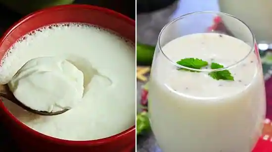 Milk vs Curd: ತೂಕ ಕಡಿಮೆ ಮಾಡಲು ಯಾವುದು ಉತ್ತಮ? ಹಾಲು ಅಥವಾ ಮೊಸರು?