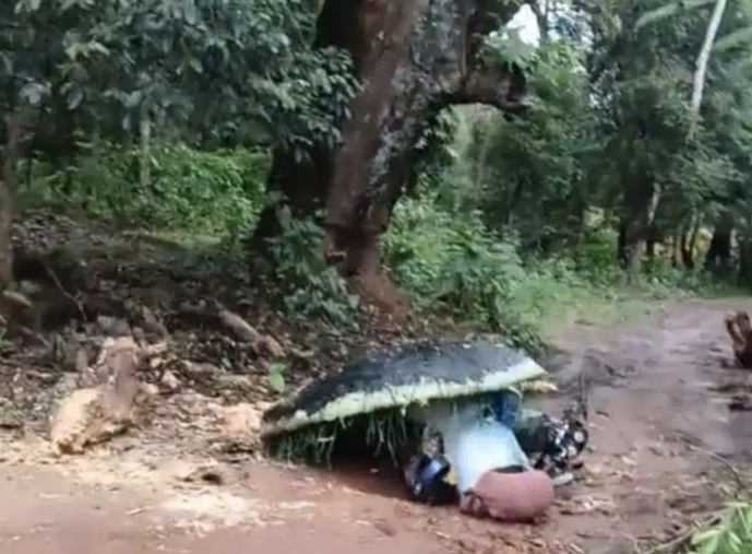 ಶಿವಮೊಗ್ಗದಲ್ಲಿ ಭೀಕರ ದುರಂತ: ಮರದ ರೆಂಬೆ ಬಿದ್ದು ಬೈಕ್ ಸವಾರ ಸಾವು!