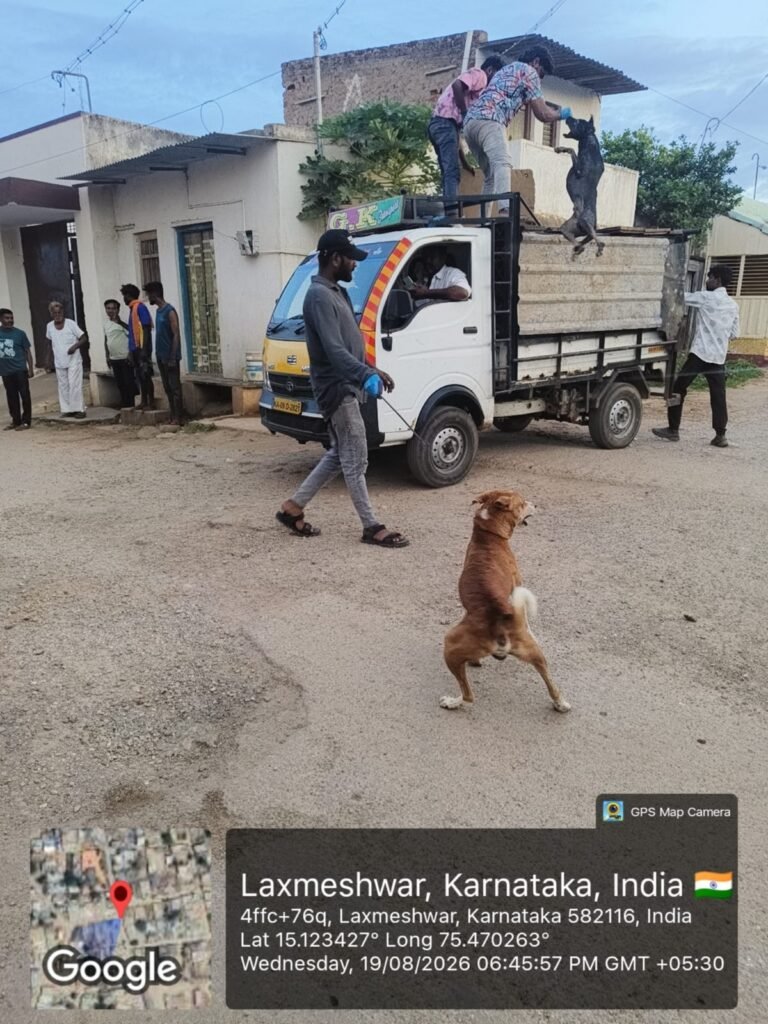 300ಕ್ಕೂ ಹೆಚ್ಚು ಬೀದಿ ನಾಯಿಗಳು, 80 ಹಂದಿಗಳು ಸ್ಥಳಾಂತರ!