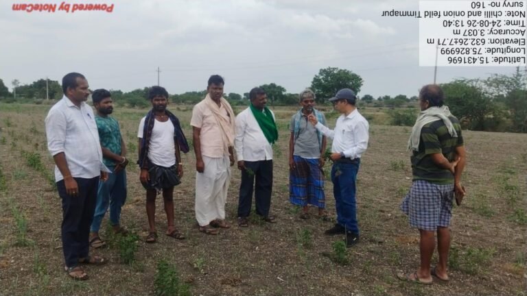 ಈರುಳ್ಳಿ, ಮೆಣಸಿನಕಾಯಿ ಬೆಳೆಗೆ ರೋಗಬಾಧೆ
