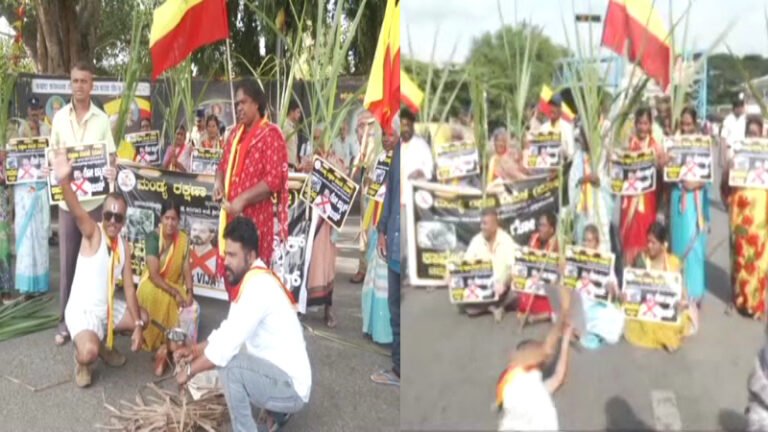 ವಿಜಯ್ ಕರ್ನಾಟಕ ಎಂಟ್ರಿಗೆ ಮಂಡ್ಯ ಆಕ್ರೋಶ! ಕಾವೇರಿ ವಿಚಾರಕ್ಕೆ ಬೀದಿಗಿಳಿದ ಕನ್ನಡಿಗರು