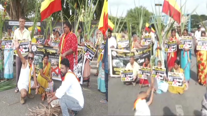 ವಿಜಯ್ ಕರ್ನಾಟಕ ಎಂಟ್ರಿಗೆ ಮಂಡ್ಯ ಆಕ್ರೋಶ! ಕಾವೇರಿ ವಿಚಾರಕ್ಕೆ ಬೀದಿಗಿಳಿದ ಕನ್ನಡಿಗರು