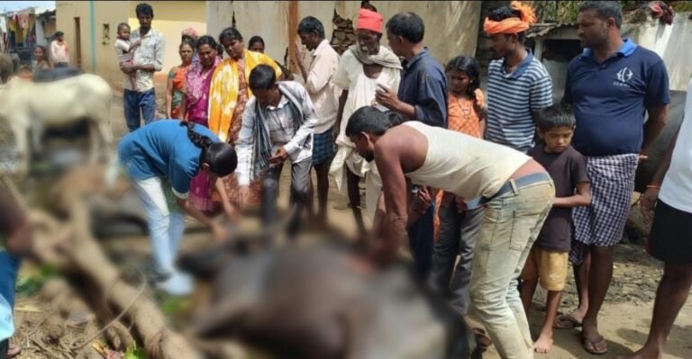 ಕಣ್ಣೆದುರೇ ಜಾನುವಾರುಗಳ ಸಾವು; ಮುನಿಯಾನ ತಾಂಡಾದಲ್ಲಿ ಮಾಲೀಕರ ಕಣ್ಣೀರು!