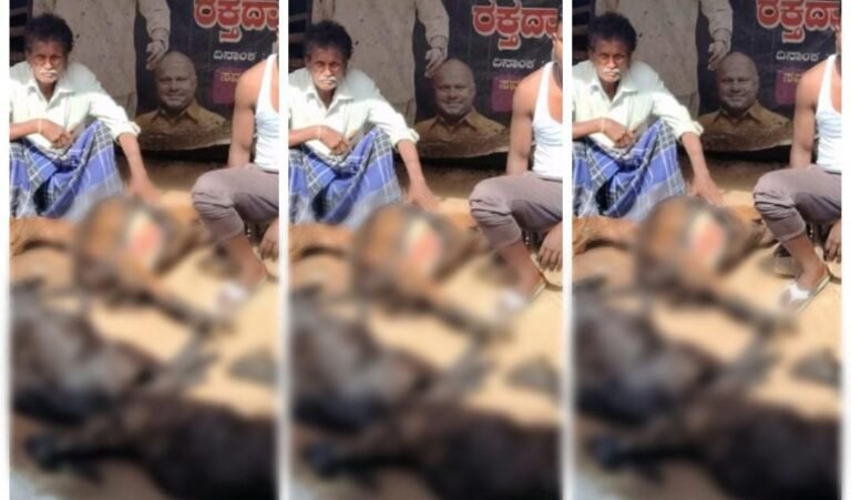 ಬೀದಿ ನಾಯಿಗಳ ಅಟ್ಟಹಾಸಕ್ಕೆ 5 ಕುರಿಗಳು ಬಲಿ; 3 ಗಂಭೀರ, ರೈತ ಕಂಗಾಲು!