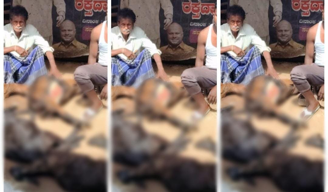 ಬೀದಿ ನಾಯಿಗಳ ಅಟ್ಟಹಾಸಕ್ಕೆ 5 ಕುರಿಗಳು ಬಲಿ; 3 ಗಂಭೀರ, ರೈತ ಕಂಗಾಲು!