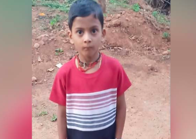 ಕಡಜ ಹುಳಗಳ ದಾಳಿಗೆ 8 ವರ್ಷದ ಬಾಲಕ ಬಲಿ! ತಂದೆಗೂ ಗಂಭೀರ ಗಾಯ
