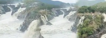 ಮಳೆಯಿಂದ ಕಾವೇರಿ ನದಿಗೆ ಜೀವಕಳೆ; ಭೋರ್ಗರೆಯುತ್ತಿರುವ ಹೊಗೇನಕಲ್ ಜಲಪಾತದ ಸೊಬಗು!