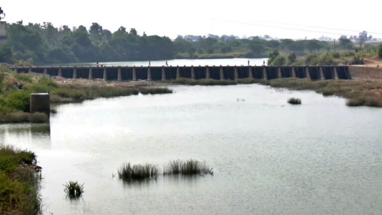 ಮಳೆ ಕೊರತೆಯಿಂದ ಹಾವೇರಿ ರೈತರು ಕಂಗಾಲು; ವರದಾ ನದಿಗೆ ಗೇಟ್ ಅಳವಡಿಸಿ ನೀರು ನಿಲ್ಲಿಸಲು ಆಗ್ರಹ