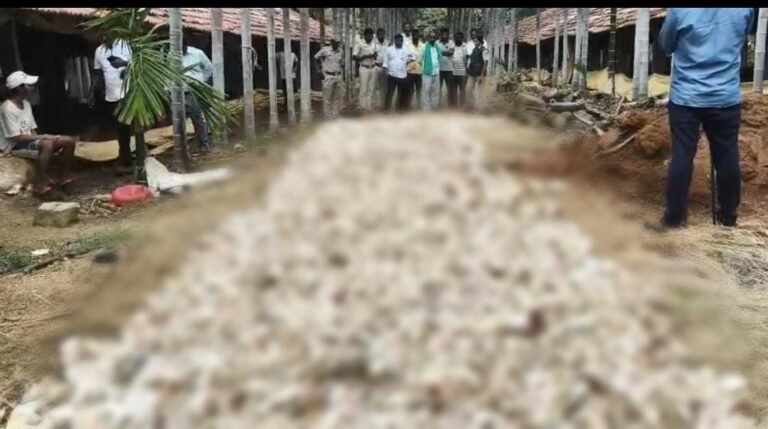 ತಡರಾತ್ರಿ ಕೋಳಿಫಾರ್ಮ್‌ಗೆ ನುಗ್ಗಿದ ಚಿರತೆ? 950ಕ್ಕೂ ಹೆಚ್ಚು ಕೋಳಿ ಮರಿಗಳು ಸಾವು!