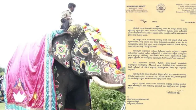 ಅಭಿಮಾನಿಗಳ ಒತ್ತಾಯಕ್ಕೆ ಮಣಿದ ಸರ್ಕಾರ: ದಸರಾಗೆ ನಿಶಾನೆ ಆನೆಯಾಗಿ ಅಭಿಮನ್ಯು ಆಯ್ಕೆ
