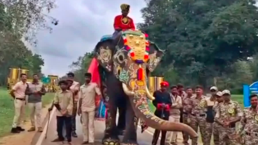 ದಸರಾ ಜಂಬೂಸವಾರಿಯಲ್ಲಿ ಅಭಿಮನ್ಯುಗೆ ವಿಶೇಷ ಗೌರವ: ಈ ಬಾರಿ ‘ನಿಶಾನೆ ಆನೆ’ಯಾಗಿ ಕಾಣಿಸಿಕೊಳ್ಳಲಿರುವ ಗಜರಾಜ