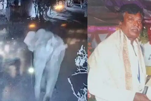 ಆನೆ ದಾಳಿಗೆ ದಿನಗೂಲಿ ಕಾರ್ಮಿಕ ಬಲಿ: ಮೃತರ ಕುಟುಂಬಕ್ಕೆ ₹20 ಲಕ್ಷ ಪರಿಹಾರ ಘೋಷಿಸಿದ ಸಚಿವ ರಾಮಲಿಂಗಾರೆಡ್ಡಿ!