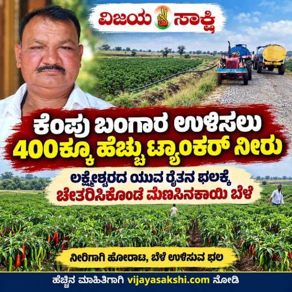 ಕೆಂಪು ಬಂಗಾರ ಉಳಿಸಲು 400ಕ್ಕೂ ಹೆಚ್ಚು ಟ್ಯಾಂಕರ್ ನೀರು: ಲಕ್ಷ್ಮೇಶ್ವರದ ಯುವ ರೈತನ ಛಲಕ್ಕೆ ಚೇತರಿಸಿಕೊಂಡ ಮೆಣಸಿನಕಾಯಿ ಬೆಳೆ
