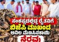 ಸಂಕಷ್ಟದಲ್ಲಿದ್ದ ರೈತನಿಗೆ ಬಿಜೆಪಿ ಮುಖಂಡ ಅನಿಲ ಮೆಣಸಿನಕಾಯಿ ನೆರವು