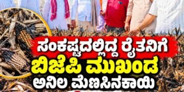 ಸಂಕಷ್ಟದಲ್ಲಿದ್ದ ರೈತನಿಗೆ ಬಿಜೆಪಿ ಮುಖಂಡ ಅನಿಲ ಮೆಣಸಿನಕಾಯಿ ನೆರವು