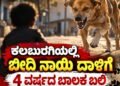 ಕಲಬುರಗಿಯಲ್ಲಿ ಬೀದಿ ನಾಯಿ ದಾಳಿಗೆ 4 ವರ್ಷದ ಬಾಲಕ ಬಲಿ