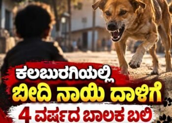 ಕಲಬುರಗಿಯಲ್ಲಿ ಬೀದಿ ನಾಯಿ ದಾಳಿಗೆ 4 ವರ್ಷದ ಬಾಲಕ ಬಲಿ