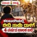ಕಲಬುರಗಿಯಲ್ಲಿ ಬೀದಿ ನಾಯಿ ದಾಳಿಗೆ 4 ವರ್ಷದ ಬಾಲಕ ಬಲಿ