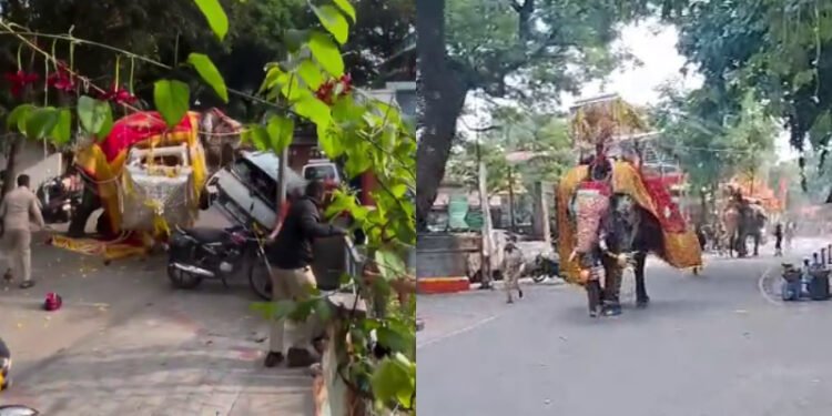 ದಸರಾ ಮೆರವಣಿಗೆಯಲ್ಲಿ ಸೋಮಣ್ಣ ಆನೆ ರಂಪಾಟ: ಅಧಿಕಾರಿಗಳಿಗೆ ಕ್ಲೀನ್‌ಚಿಟ್, ತನಿಖಾ ವರದಿಯಲ್ಲಿ ಏನಿದೆ?
