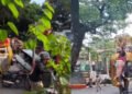 ದಸರಾ ಮೆರವಣಿಗೆಯಲ್ಲಿ ಸೋಮಣ್ಣ ಆನೆ ರಂಪಾಟ: ಅಧಿಕಾರಿಗಳಿಗೆ ಕ್ಲೀನ್‌ಚಿಟ್, ತನಿಖಾ ವರದಿಯಲ್ಲಿ ಏನಿದೆ?