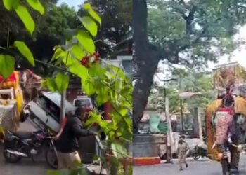 ದಸರಾ ಮೆರವಣಿಗೆಯಲ್ಲಿ ಸೋಮಣ್ಣ ಆನೆ ರಂಪಾಟ: ಅಧಿಕಾರಿಗಳಿಗೆ ಕ್ಲೀನ್‌ಚಿಟ್, ತನಿಖಾ ವರದಿಯಲ್ಲಿ ಏನಿದೆ?