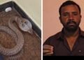 ಬೆಂಗಳೂರಿನಲ್ಲಿ ಬೆಚ್ಚಿಬೀಳಿಸುವ ಘಟನೆ: ಅಣ್ಣ-ತಂಗಿ ಮಲಗಿದ್ದ ಹಾಸಿಗೆಯಲ್ಲೇ ನಾಗರಹಾವು ಪತ್ತೆ!