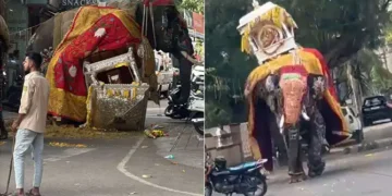 ಶಿವಮೊಗ್ಗ ದಸರಾ ಆನೆ ಬೆದರಿದ ಘಟನೆ ಬೆನ್ನಲ್ಲೇ ಎಚ್ಚೆತ್ತ ಅರಣ್ಯ ಇಲಾಖೆ: ಮುಂದಿನ ವರ್ಷದಿಂದ ಕಡ್ಡಾಯ ತಾಲೀಮು!