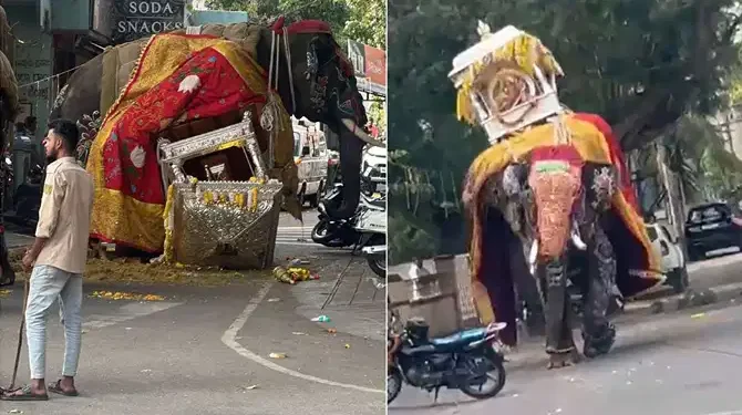 ಶಿವಮೊಗ್ಗ ದಸರಾ ಆನೆ ಬೆದರಿದ ಘಟನೆ ಬೆನ್ನಲ್ಲೇ ಎಚ್ಚೆತ್ತ ಅರಣ್ಯ ಇಲಾಖೆ: ಮುಂದಿನ ವರ್ಷದಿಂದ ಕಡ್ಡಾಯ ತಾಲೀಮು!