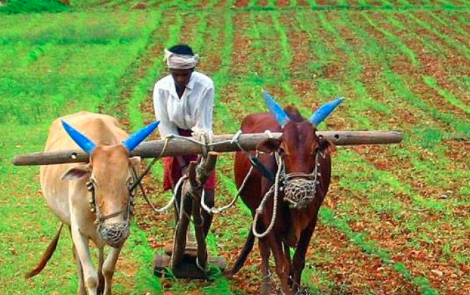 ಪಿಎಂ ಕಿಸಾನ್ ಫಲಾನುಭವಿಗಳಿಗೆ ಸಿಹಿಸುದ್ದಿ! ಇಂದು ₹18,690 ಕೋಟಿ ಬಿಡುಗಡೆ, ಈ ರೈತರ ಖಾತೆಗೆ ನೇರವಾಗಿ ₹2,000 ಜಮೆ