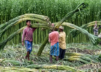 ಕಬ್ಬು ಬೆಳೆಗಾರರ ಹೋರಾಟ 4ನೇ ದಿನಕ್ಕೆ: ನಾಳೆ ಮಧ್ಯಾಹ್ನ 3 ಗಂಟೆಯವರೆಗೆ ಸರ್ಕಾರಕ್ಕೆ ಡೆಡ್‌ಲೈನ್!